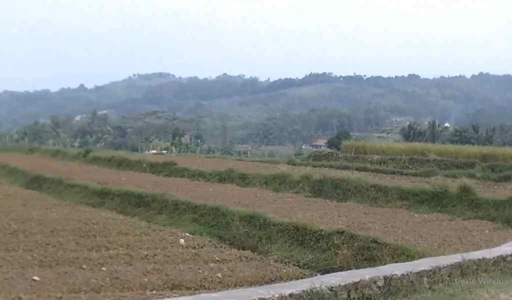 Desa Cibitung Tengah Kecamatan Tenjolaya Kabupaten Bogor Desa Cibitung Tengah Kecamatan Tenjolaya Kabupaten Bogor