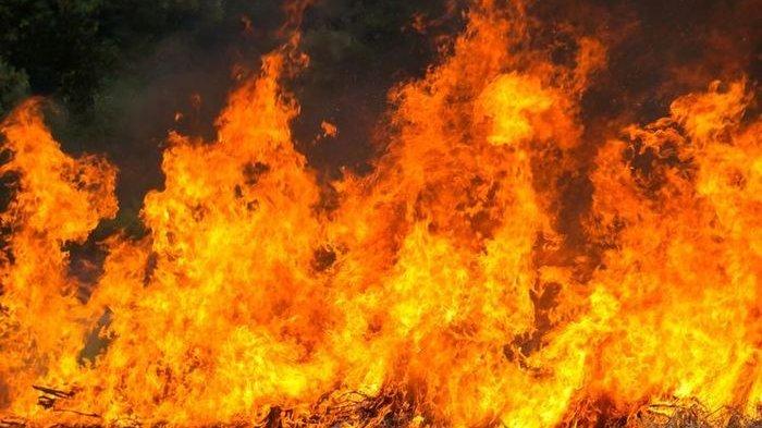 Kronologi 14 Warga Terbakar Di Cirebon, Berawal Dari Kebocoran LPG Di Pesta Pernikahan Kronologi 14 Warga Terbakar Di Cirebon, Berawal Dari Kebocoran LPG Di Pesta Pernikahan