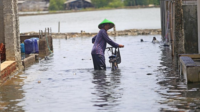 Ketinggian Daerah Indramayu Nyaris Sepadan dengan Permukaan Laut Ketinggian Daerah Indramayu Nyaris Sepadan dengan Permukaan Laut