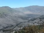 Kerugian Kebakaran Bromo Akibat Flare Prewedding Capai Rp 5,4 Miliar Kerugian Kebakaran Bromo Akibat Flare Prewedding Capai Rp 5,4 Miliar