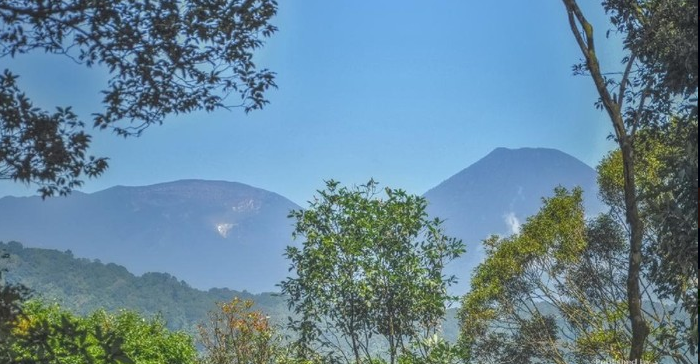 BPBD Bogor: 13 Pendaki Tersesat Naik ke Pangrango Lewat Jalur Ilegal BPBD Bogor: 13 Pendaki Tersesat Naik ke Pangrango Lewat Jalur Ilegal