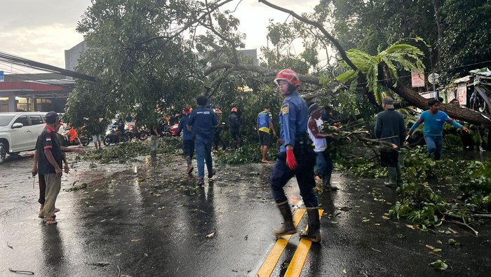 Pohon tumbang menimpa mobil di Jl Raya Ciawi, lalu lintas Ciawi-Gadog Macet. Pohon tumbang menimpa mobil di Jl Raya Ciawi, lalu lintas Ciawi-Gadog Macet.