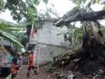 Warga Kota Bogor imbau pangkas pohon tinggi, antisipasi cuaca ekstrem