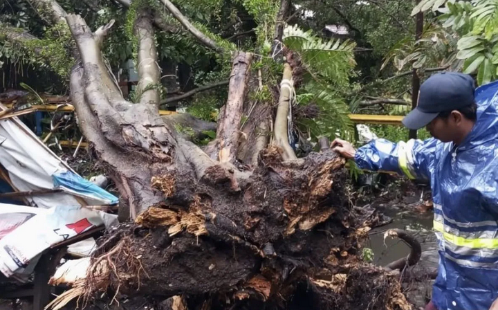 Ngeri! kemarin hujan dan angin kencang porak-porandakan Bandung, ini titik rawannya! Ngeri! kemarin hujan dan angin kencang porak-porandakan Bandung, ini titik rawannya!