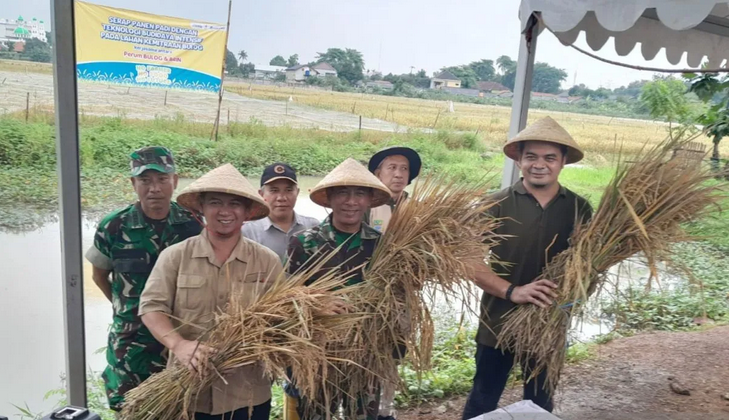 Bulog dan BRIN panen raya padi di lahan uji coba teknologi intensif di Bekasi Bulog dan BRIN panen raya padi di lahan uji coba teknologi intensif di Bekasi