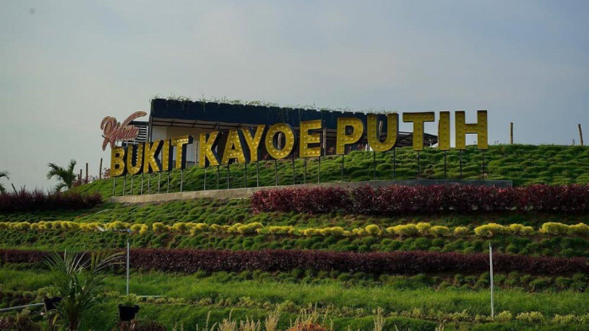 Keajaiban Alam yang Hanya Ditemukan dalam 22 Menit dari Mojokerto: Temukan Keindahan yang Memukau dan Spot Fotografi Fantastis! Keajaiban Alam yang Hanya Ditemukan dalam 22 Menit dari Mojokerto: Temukan Keindahan yang Memukau dan Spot Fotografi Fantastis!