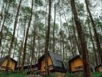 Bobocabin di Gunung Mas Ditutup Sementara, Bobobox: Semua Persyaratan Sudah Dipenuhi Bobocabin di Gunung Mas Ditutup Sementara, Bobobox: Semua Persyaratan Sudah Dipenuhi
