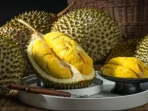 Perhatikan! 5 Minuman Yang Sebaiknya Tak Disandingkan dengan Buah Durian Perhatikan! 5 Minuman Yang Sebaiknya Tak Disandingkan dengan Buah Durian