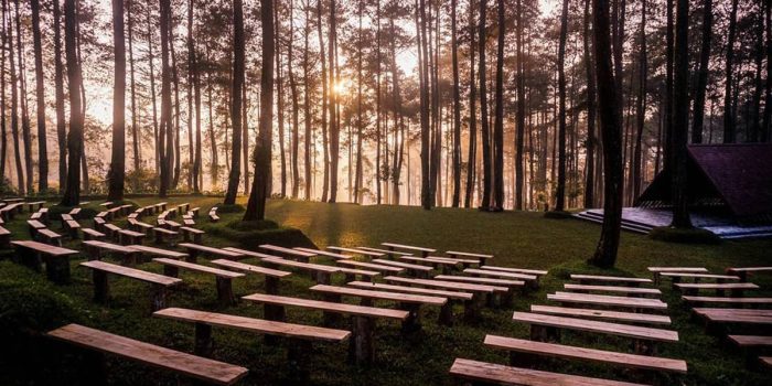 Orchid Forest Cikole Di Bandung Barat Orchid Forest Cikole Di Bandung Barat