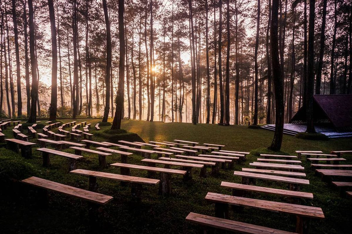 Orchid Forest Cikole: Surga Anggrek Di Tengah Hutan Pinus Bandung Orchid Forest Cikole: Surga Anggrek Di Tengah Hutan Pinus Bandung
