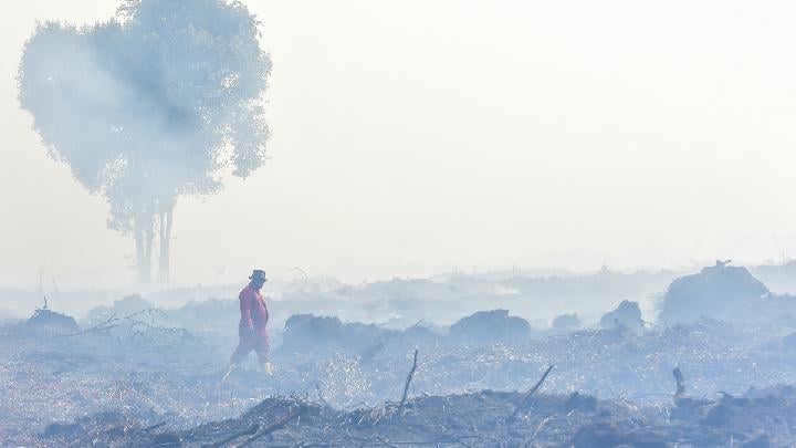 BNPB Laporkan Kebakaran Hutan di Sumatera BNPB Laporkan Kebakaran Hutan di Sumatera