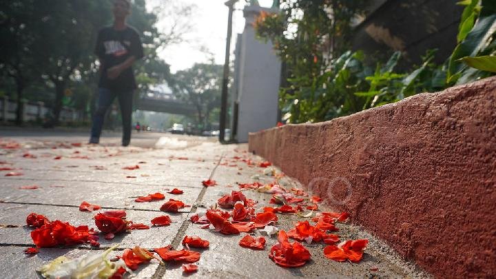 Cara PDIP Merayakan 29 Tahun Kudatuli Cara PDIP Merayakan 29 Tahun Kudatuli
