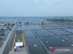 6.979 Hektare Tambak Ikan Karawang Siap Dibangkitkan 6.979 Hektare Tambak Ikan Karawang Siap Dibangkitkan