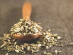 Jinten (Cuminum Cyminum): Tanaman Obat Keluarga Ajaib Untuk Pencernaan Lancar Dan Aroma Yang Memikat Jinten (Cuminum Cyminum): Tanaman Obat Keluarga Ajaib Untuk Pencernaan Lancar Dan Aroma Yang Memikat
