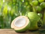 Kelapa (Cocos Nucifera): Lebih Dari Sekadar Buah Tropis, Harta Karun Tanaman Obat Keluarga (TOGA) Dengan Segudang Manfaat Kelapa (Cocos Nucifera): Lebih Dari Sekadar Buah Tropis, Harta Karun Tanaman Obat Keluarga (TOGA) Dengan Segudang Manfaat