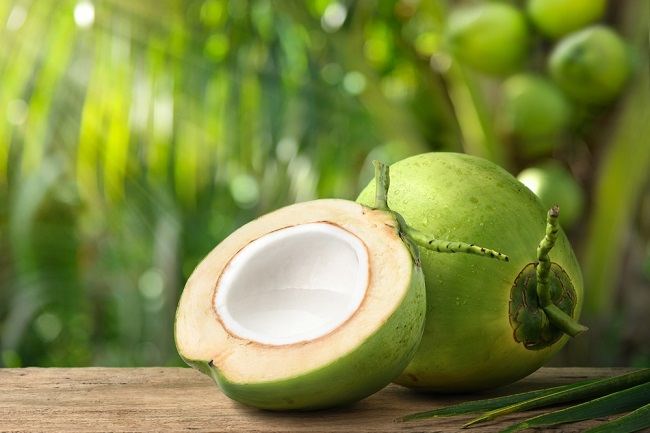Kelapa (Cocos Nucifera): Lebih Dari Sekadar Buah Tropis, Harta Karun Tanaman Obat Keluarga (TOGA) Dengan Segudang Manfaat Kelapa (Cocos Nucifera): Lebih Dari Sekadar Buah Tropis, Harta Karun Tanaman Obat Keluarga (TOGA) Dengan Segudang Manfaat