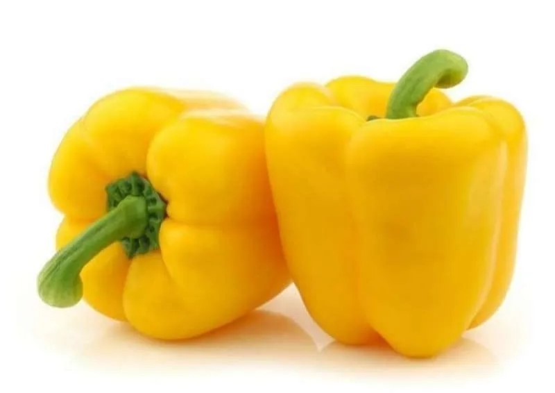 Paprika Kuning: Si Matahari Di Piring, Kaya Nutrisi Dan Mudah Diolah Paprika Kuning: Si Matahari Di Piring, Kaya Nutrisi Dan Mudah Diolah