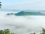 Nikmati Keindahan Puncak Bangku Ciamis, Wisata Negeri di Atas Angin yang Membuat Terpukau Nikmati Keindahan Puncak Bangku Ciamis, Wisata Negeri di Atas Angin yang Membuat Terpukau