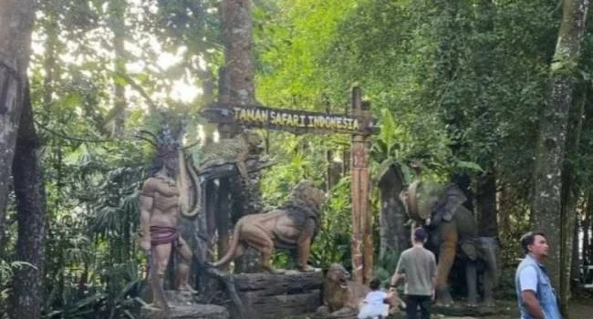 Taman Safari Indonesia: Destinasi Tempat Wisata Keluarga di Bogor Taman Safari Indonesia: Destinasi Tempat Wisata Keluarga di Bogor