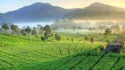 Rekomendasi Wisata Bukit di Majalengka untuk Tenangkan Pikiran Akhir Pekan Rekomendasi Wisata Bukit di Majalengka untuk Tenangkan Pikiran Akhir Pekan