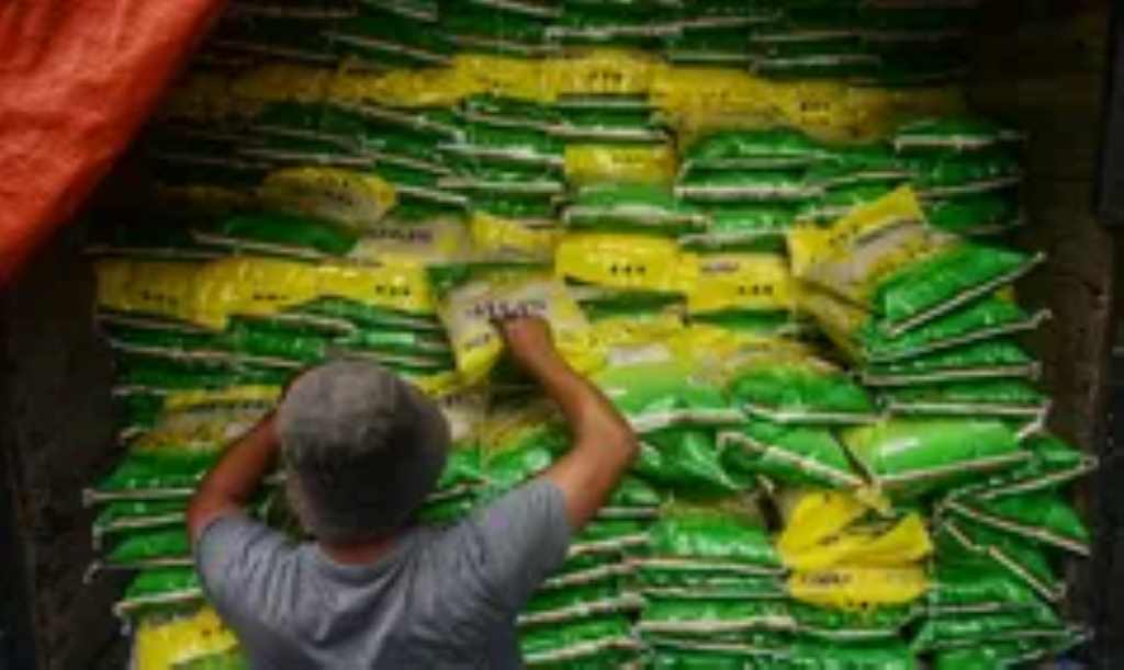 Bulog Subang Kelebihan Stok 35.000 Ton Beras, Sewa Gudang Tambahan Bulog Subang Kelebihan Stok 35.000 Ton Beras, Sewa Gudang Tambahan