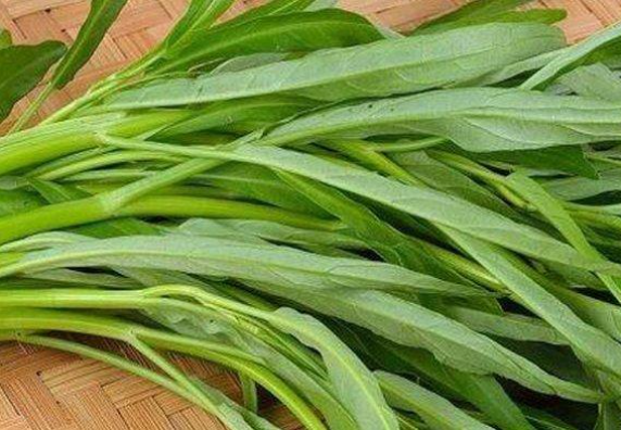 Kangkung: Sayuran Ajaib Penjaga Kesehatan dan Kelezatan Kuliner Nusantara Kangkung: Sayuran Ajaib Penjaga Kesehatan dan Kelezatan Kuliner Nusantara