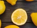 Jeruk Lemon (Citrus Limon): Harta Karun Vitamin C, Antioksidan, Dan Pelancar Pencernaan Di Pekarangan Rumah Anda Jeruk Lemon (Citrus Limon): Harta Karun Vitamin C, Antioksidan, Dan Pelancar Pencernaan Di Pekarangan Rumah Anda
