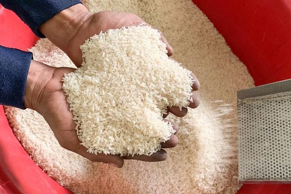 Penggilingan Padi Majalengka Tutup Akibat Persaingan Tidak Sehat dengan Bulog Penggilingan Padi Majalengka Tutup Akibat Persaingan Tidak Sehat dengan Bulog