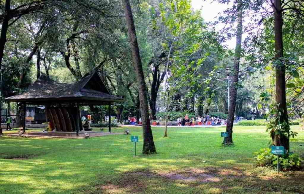 Taman Suropati Menteng Jakarta Wisata Gratis Cocok Untuk Anak-anak Taman Suropati Menteng Jakarta Wisata Gratis Cocok Untuk Anak-anak