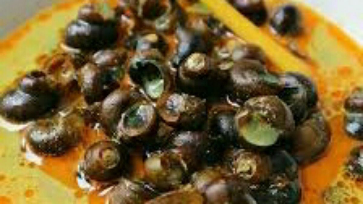 7 Manfaat Kuliner Tutut untuk Otak, Anemia, dan Tulang 7 Manfaat Kuliner Tutut untuk Otak, Anemia, dan Tulang