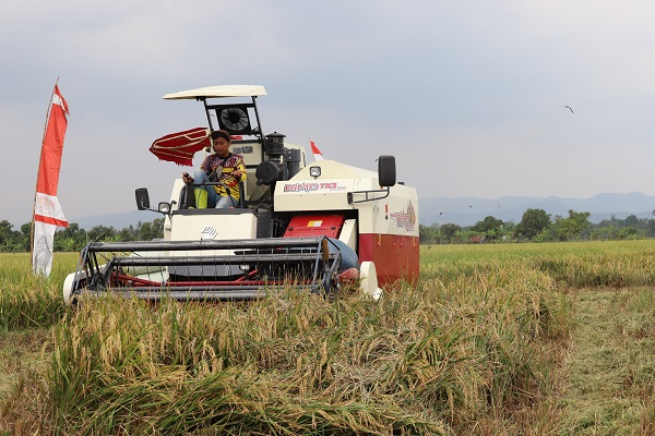 Pemkab Sumedang Siapkan Program Ketahanan Pangan, Fokus Bantuan Pupuk 2026 Pemkab Sumedang Siapkan Program Ketahanan Pangan, Fokus Bantuan Pupuk 2026