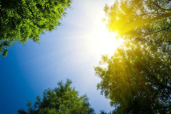 Prakiraan Cuaca Bogor, 2 Oktober 2025: Cerah Pagi, Hujan Sore Prakiraan Cuaca Bogor, 2 Oktober 2025: Cerah Pagi, Hujan Sore