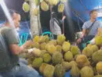 Ekspor Durian Beku Bogor ke Cina, Nilai Rp5,1 Miliar Buka Peluang Pasar Global Ekspor Durian Beku Bogor ke Cina, Nilai Rp5,1 Miliar Buka Peluang Pasar Global