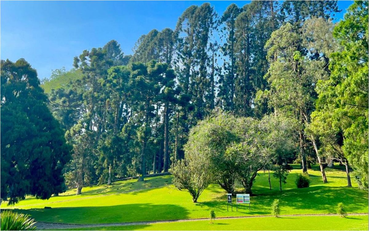 5 destinasi Cianjur paling populer untuk liburan keluarga 5 destinasi Cianjur paling populer untuk liburan keluarga