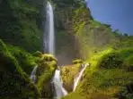 Curug Panetean: Surga Tersembunyi untuk Melepas Stres di Tasikmalaya Curug Panetean: Surga Tersembunyi untuk Melepas Stres di Tasikmalaya
