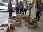 Hasil KRYD, Polsek Juntinyuat Amankan Ratusan Botol Miras Hasil KRYD, Polsek Juntinyuat Amankan Ratusan Botol Miras