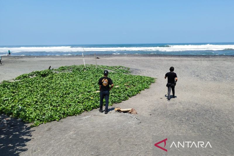 Pengawasan ekstra petugas di Pantai Selatan Cianjur selama libur Nataru Pengawasan ekstra petugas di Pantai Selatan Cianjur selama libur Nataru