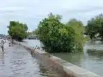 Banjir Rob Menyebar di Pesisir Subang Banjir Rob Menyebar di Pesisir Subang