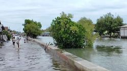 Banjir Rob Menyebar di Pesisir Subang Banjir Rob Menyebar di Pesisir Subang