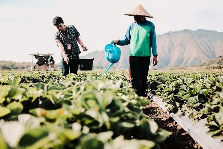 Banjir Sumatera: Peringatan Penting Wisata Berkelanjutan Banjir Sumatera: Peringatan Penting Wisata Berkelanjutan