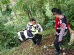 Mobil Terjun ke Jurang di Puncak Bogor Diduga Karena Tak Kuat Nanjak Mobil Terjun ke Jurang di Puncak Bogor Diduga Karena Tak Kuat Nanjak