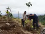 Tanam 50.000 Bibit Nilam Dorong Ekonomi Hijau dan Konservasi di Bogor Tanam 50.000 Bibit Nilam Dorong Ekonomi Hijau dan Konservasi di Bogor