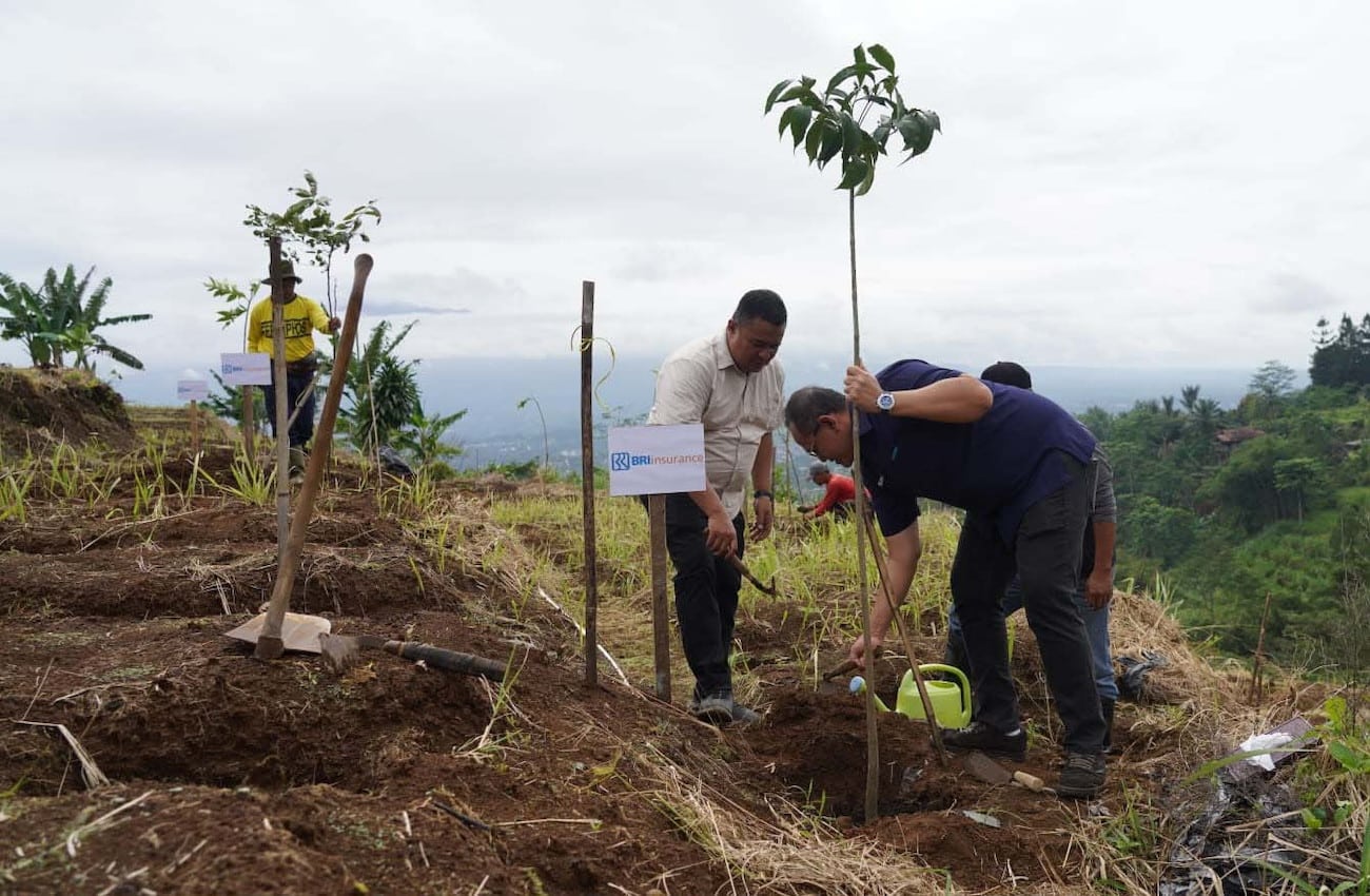 Tanam 50.000 Bibit Nilam Dorong Ekonomi Hijau dan Konservasi di Bogor