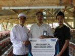 PNM Bantu Peternak Ayam Petelur Tingkatkan Ketahanan Pangan Garut PNM Bantu Peternak Ayam Petelur Tingkatkan Ketahanan Pangan Garut