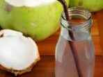 Bukan Hanya Penghilang Dahaga: Manfaat Air Kelapa Muda untuk Cegah Dehidrasi Diare Bukan Hanya Penghilang Dahaga: Manfaat Air Kelapa Muda untuk Cegah Dehidrasi Diare