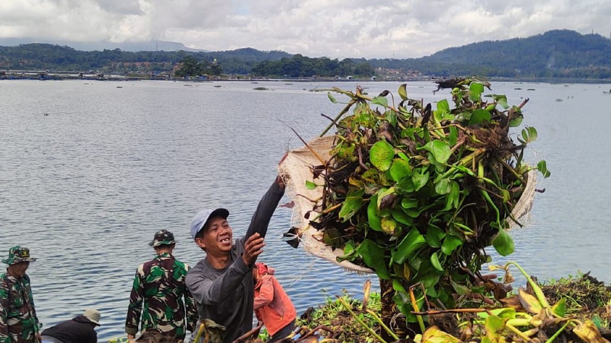 10 Destinasi Terbaik di Kuningan untuk Liburan Nataru: Sejuk, Hijau, dan Seru 10 Destinasi Terbaik di Kuningan untuk Liburan Nataru: Sejuk, Hijau, dan Seru