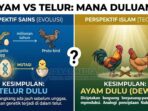 Ayam vs Telur: Mana Duluan Menurut Islam dan Sains? Ayam vs Telur: Mana Duluan Menurut Islam dan Sains?