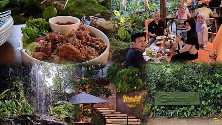 Godong Ijo: Oase Keluarga Di Depok, Padukan Kuliner Lezat, Edukasi, Dan Rekreasi Alam Godong Ijo: Oase Keluarga Di Depok, Padukan Kuliner Lezat, Edukasi, Dan Rekreasi Alam