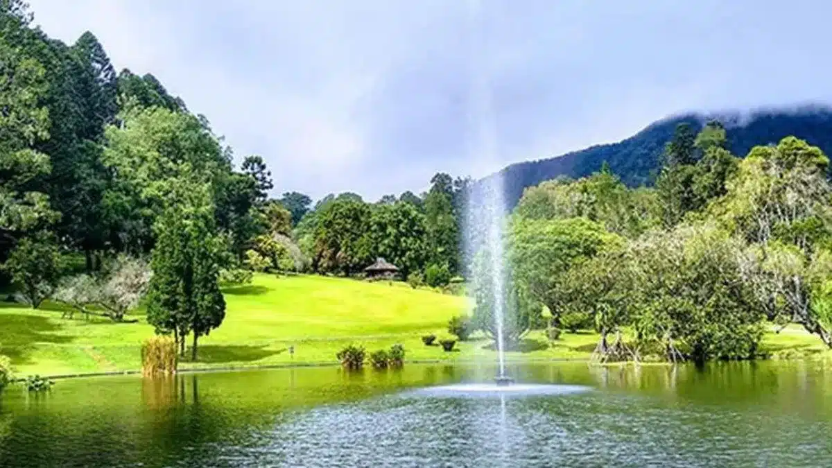 6 Tempat Wisata Keluarga di Puncak Bogor 2025: Liburan Akhir Tahun Seperti di Eropa!