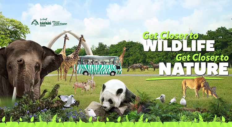 Taman Safari Indonesia: Petualangan Rimba Legendaris